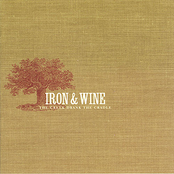 Lion's Mane by Iron & Wine