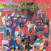 A Lizard Is a Submarine on Grass (Vinyl Rip)