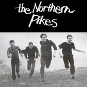 Love Will Break You by The Northern Pikes