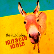 The Subdudes: Miracle Mule