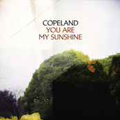 Should You Return by Copeland