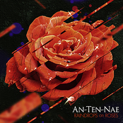 An-Ten-Nae: Raindrops On Roses