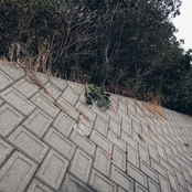 party (lonely) people