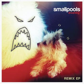 Smallpools: Dreaming Remix EP
