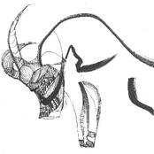 Mika Vainio / Kouhei Matsunaga