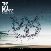 The Cat Empire: So Many Nights