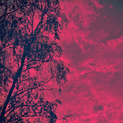 In the Space In-Between