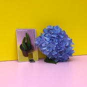 ~ fleeting moments ~