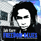 Troddin The Valley by Jah Cure