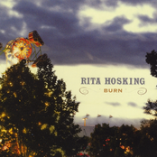 Crash And Burn by Rita Hosking