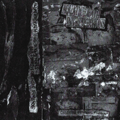 Digested Forensic Findings