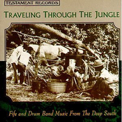 Traveling Through the Jungle