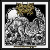 Welcome to the Scratching Post