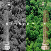 p r o s t h e t i c