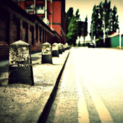 Don't Say It Too Late