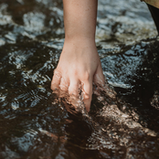 Olivia Ellen Lloyd: You