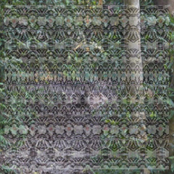 A Pebble and a Paper Crane