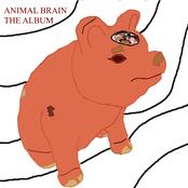 Animal Brain The Album