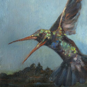 I Wanna Be Kate: The Songs Of Kate Bush