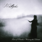 Tears of Petrichor Weaving the Drama