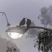 she makes me nervous (fluttering)