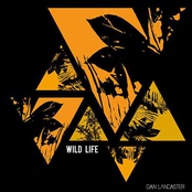 Wild Life [Explicit]