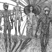 Split LP 2019 with Discordance