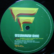 Number 43 With Steamed Rice Please