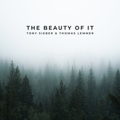 The Beauty of It (Reimagined)