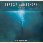 Reakcja łańcuchowa