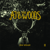 Stay Steady