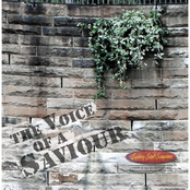 The Voice of a Saviour