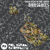 Birds & Bees
