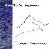 Beach Song by Blue Turtle Seduction