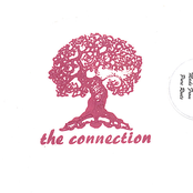 The Connection