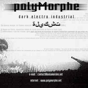 polymorphe