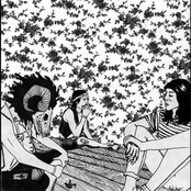 Flycatcher (miscellaneous tracks)