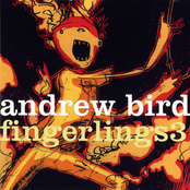 Grinnin' by Andrew Bird