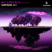 Not Coming Down (feat. Jae-Mi) - Single