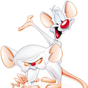 Pinky & Brain