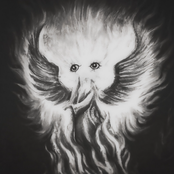 LES ANGES M'ONT APPELÉ CHOLO