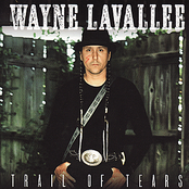 Trail Of Tears by Wayne Lavallee
