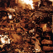 Biological Monstrosity & Magistral Flatulences & Spermswamp & Facial Abuse