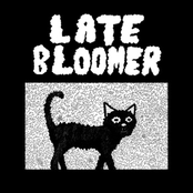 Late Bloomer: Late Bloomer