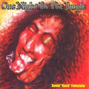 One Night In The Jungle by David Rock Feinstein