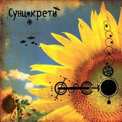 Suncokreti