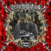 Human Decay