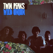 Good Lovin' by Twin Peaks