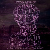 I Will Never Be Used to Your Beauty