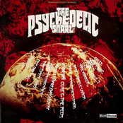 The Psychedelic Snarl